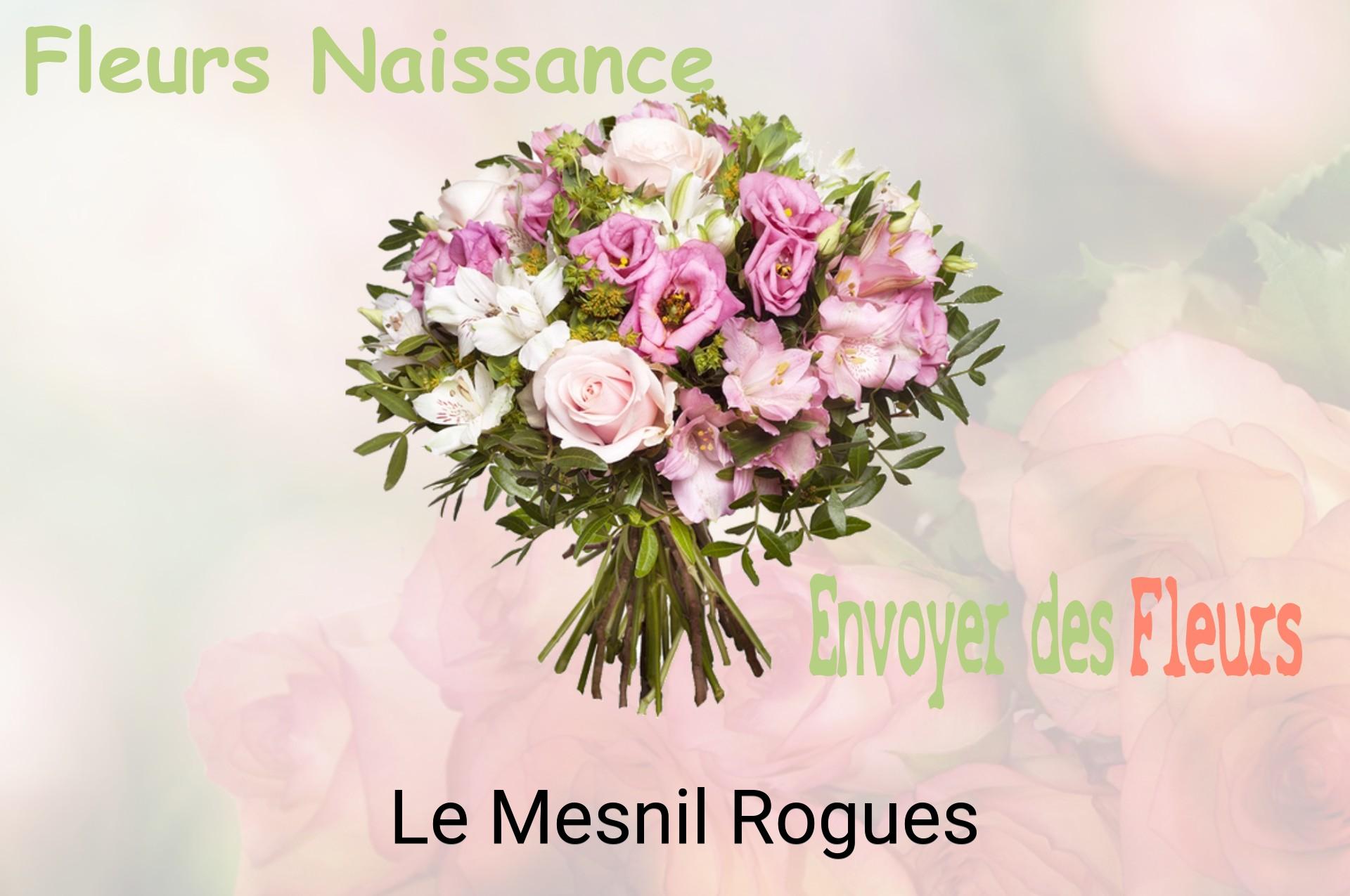 Bouquet de fleurs de naissance livré à Le Mesnil-Rogues